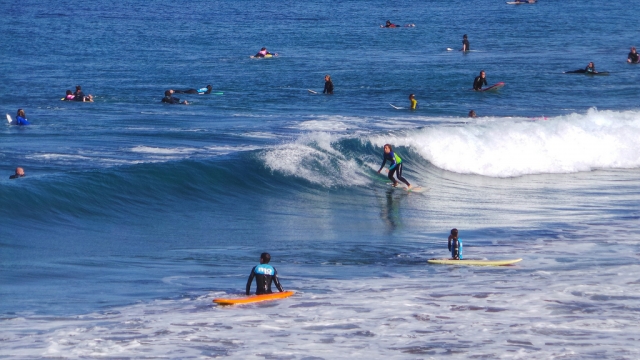  Surfing lessons 