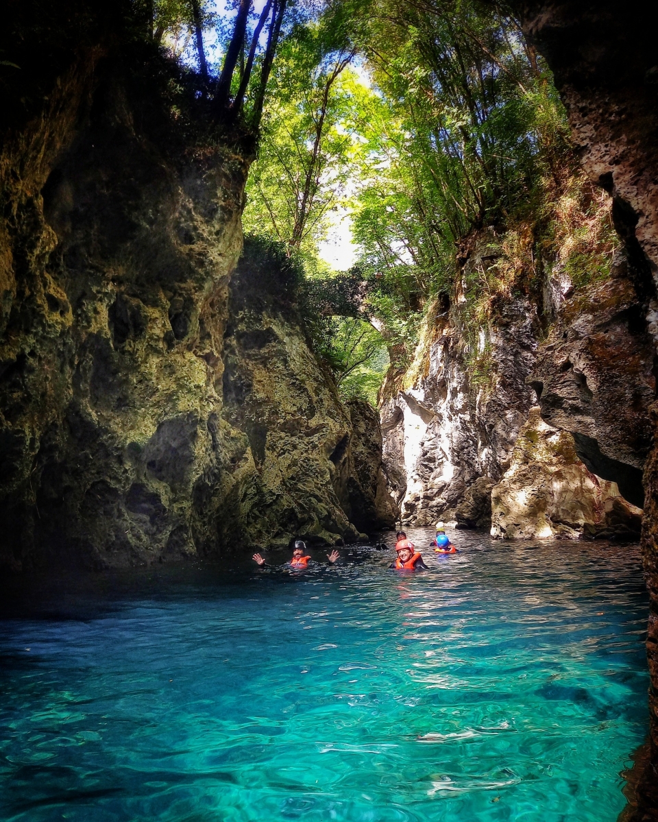  Immergé dans la nature