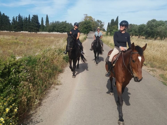  Excursión tranquila en compañía.