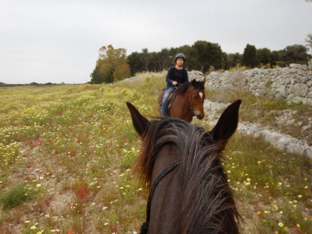  Excursão no campo 