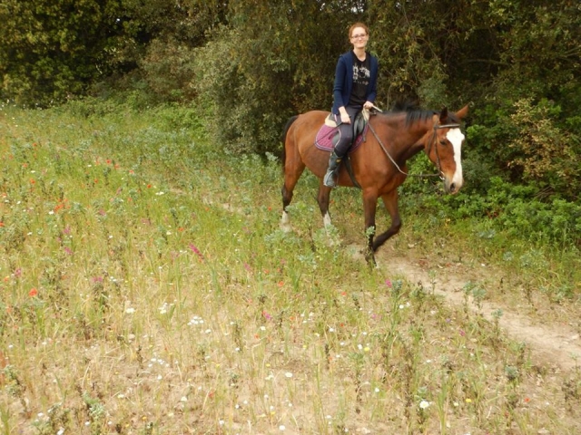  Paseos a caballo 