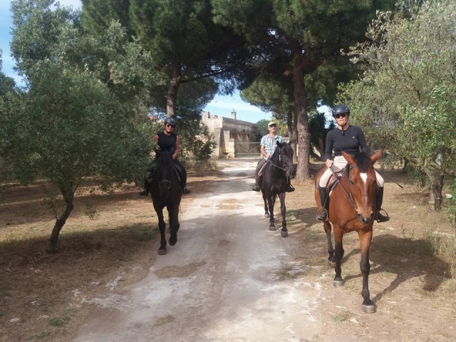  Among the olive trees on horseback