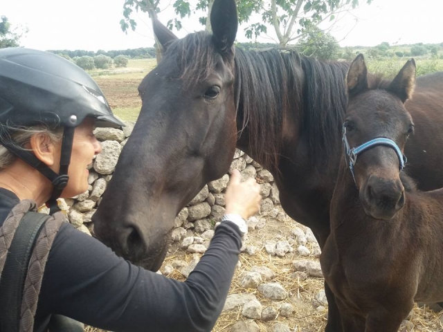  Getting closer to the horses 