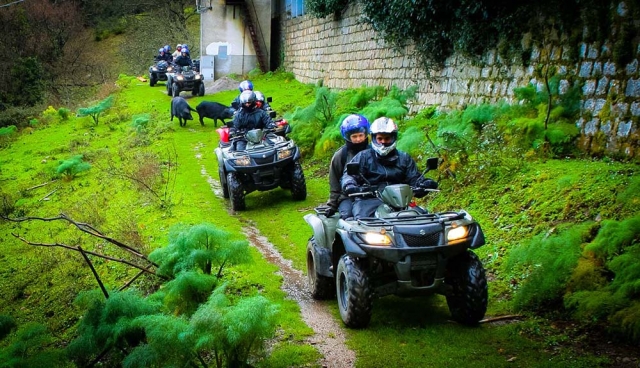  imerso em natureza 