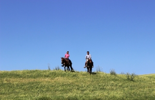 Horseback riding tour with lunch on Monte Murillo 1 hour