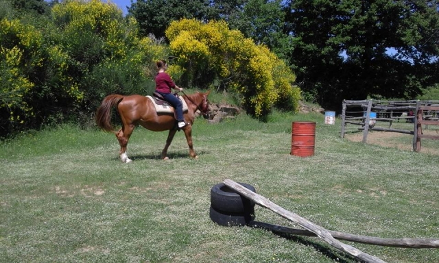  In the saddle 
