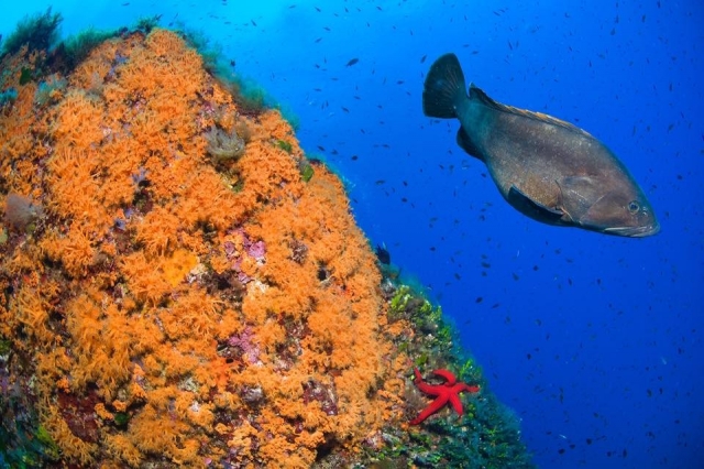  Les fonds marins 