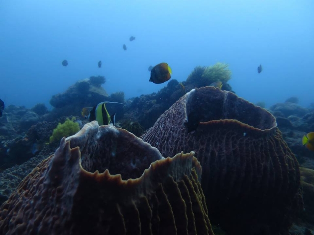  Les fonds marins 