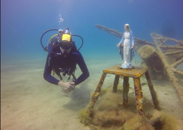  les fonds marins regorgent de surprises 