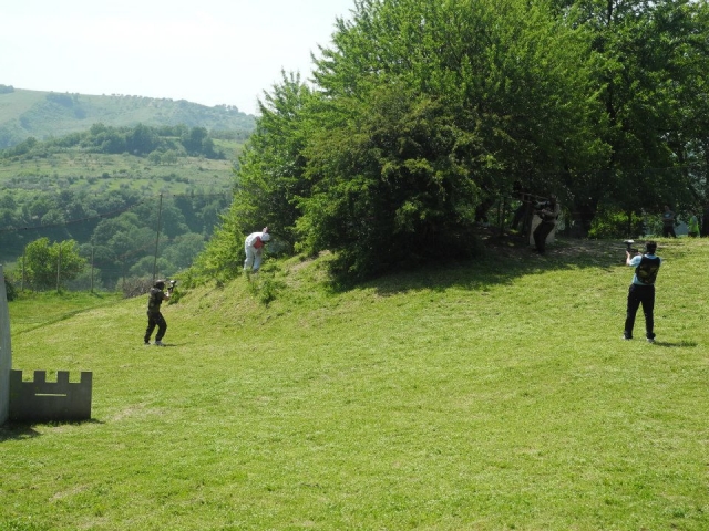  Running in the meadow 