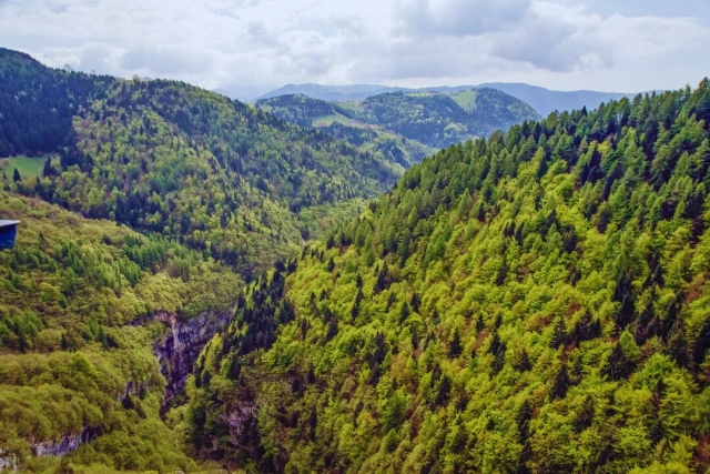 Espléndida vista 