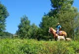Horse Walk (dia inteiro), Montella