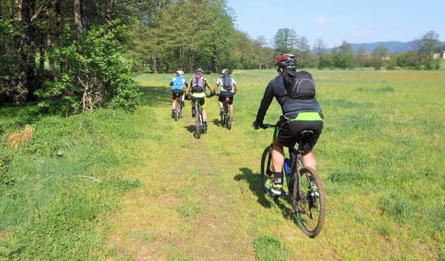  Pedaling Together 