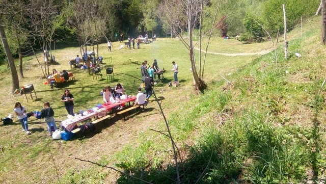  Auf der Wiese 