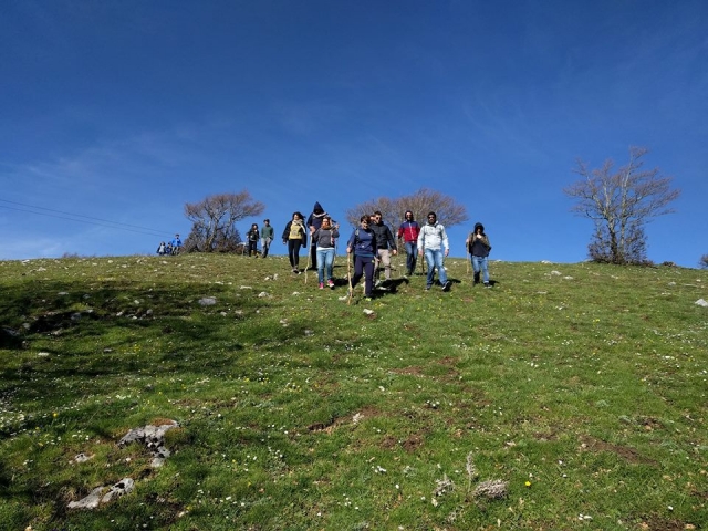  Dans la verdure de la Basilique