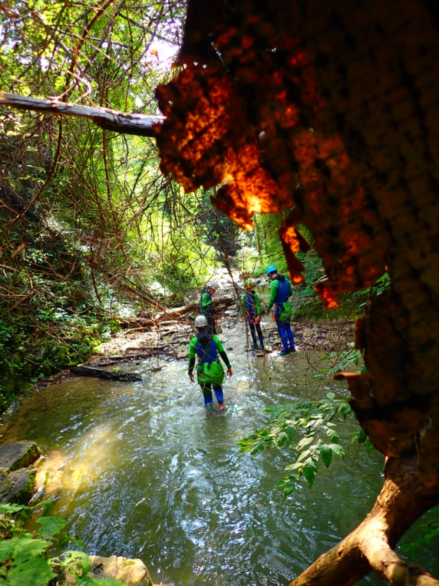 Canyoning Gumpenfieber (3h), Tremosine