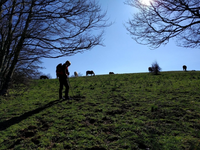  Wandern in der Natur 