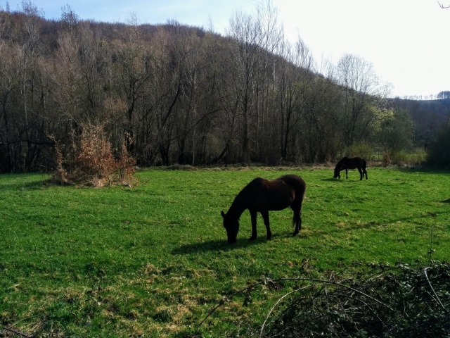 Nel verde