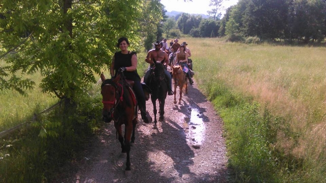  Riding Splendid Horses