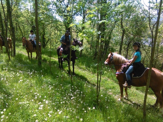 Passeggiata a cavallo in compagnia