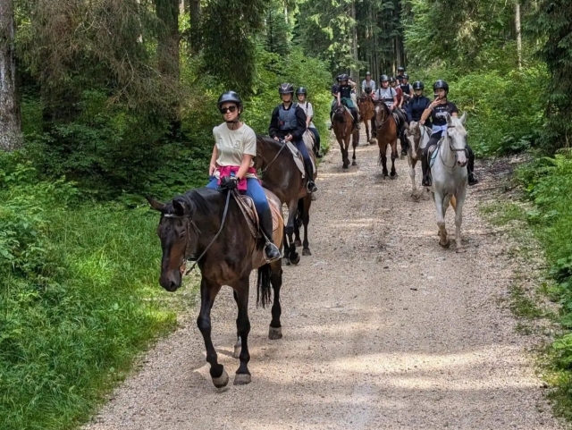  Tous ensemble dans la nature 