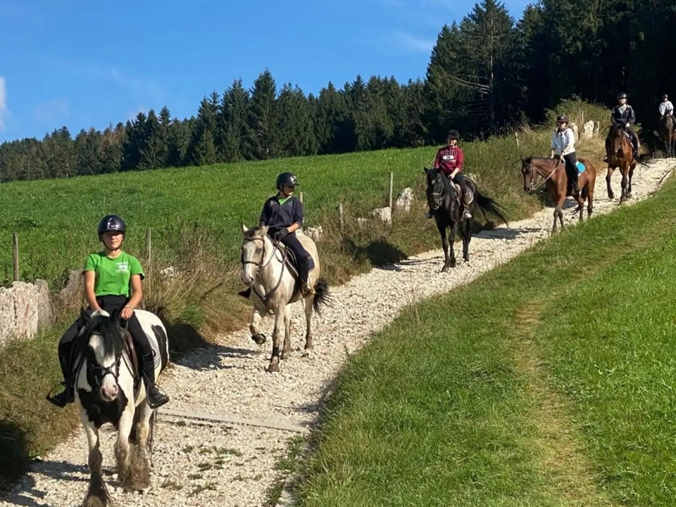 Passeggiata di gruppo 