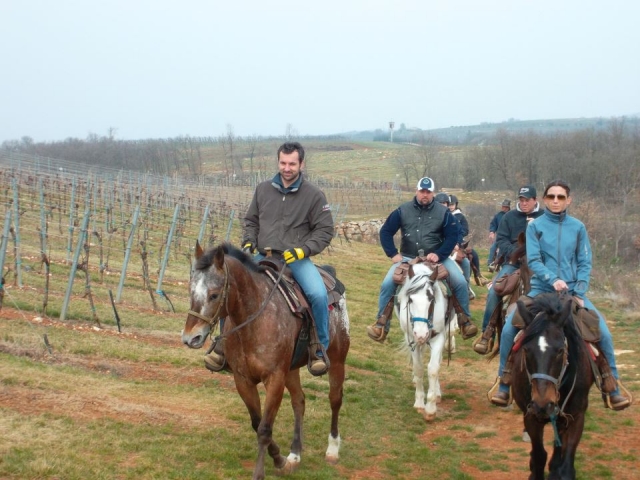 cavalcando nei vigneti