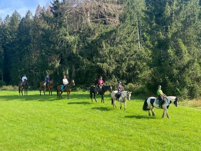 Randonnée à cheval Plateau d'Asiago 1h 30'