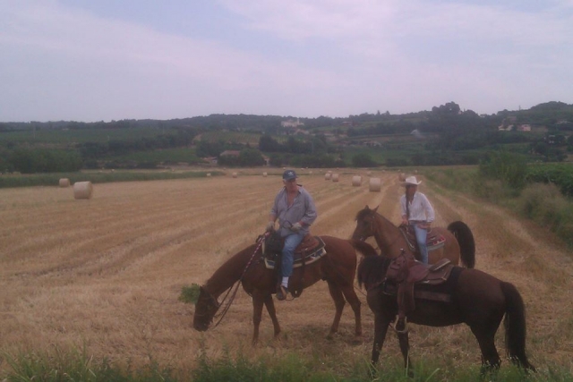  caminhando andando pelos cavalos 