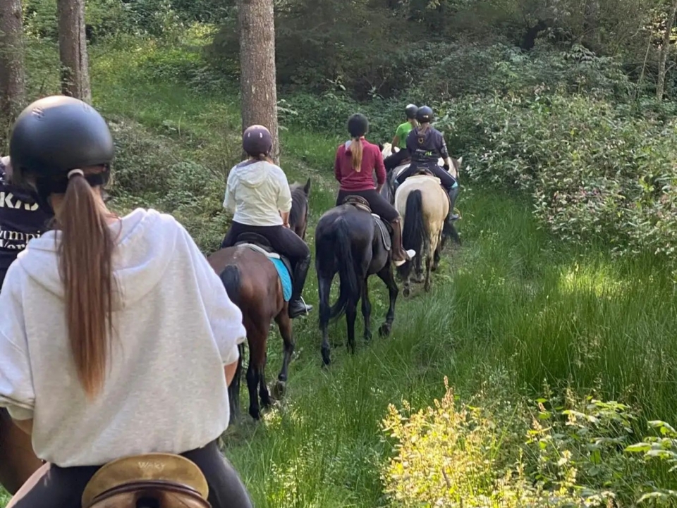  Activités familiales 