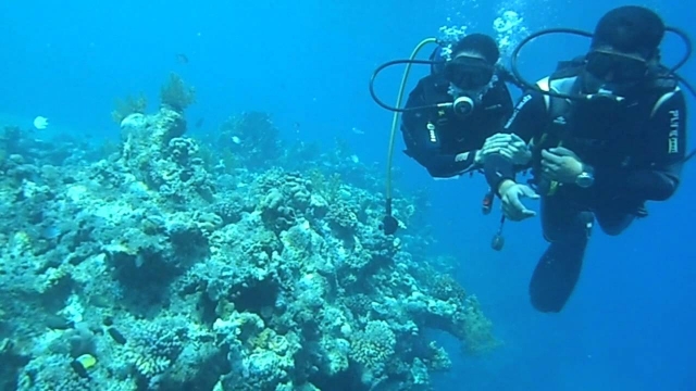 giù nel blu