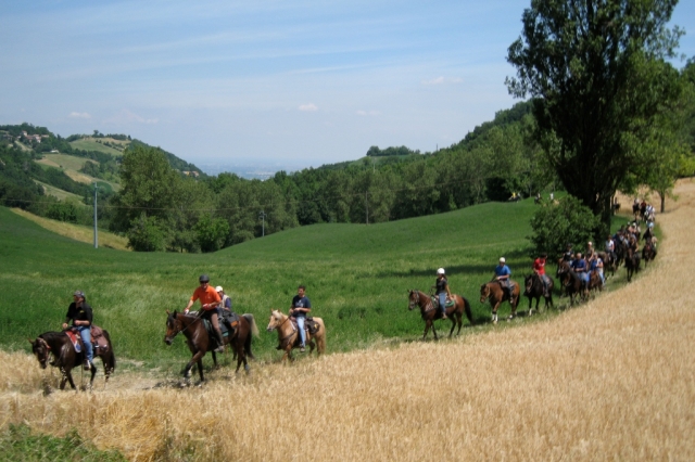 escursioni a cavallo