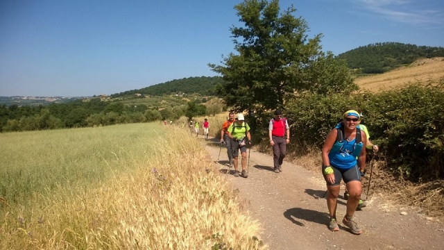Camminata in gruppo