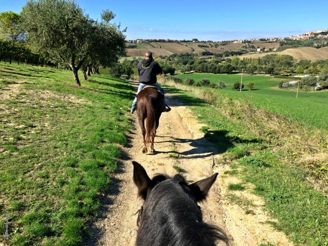  Descobrindo novos caminhos