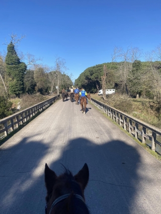 Équitation dans les collines de Pistoia 1h