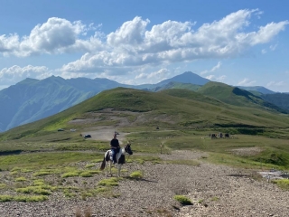 Tour panoramique à cheval des collines de Pistoia 2h