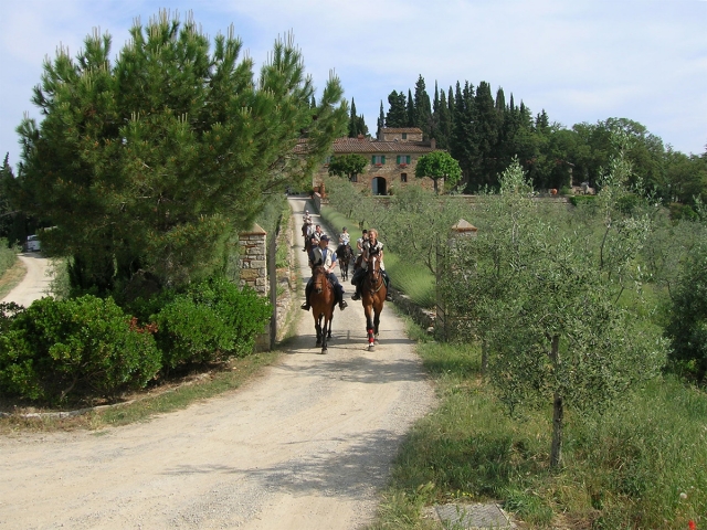  Ao longo das colinas de Uzzano 