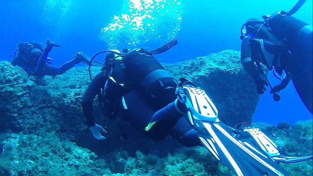  what you will discover at the bottom of the sea 