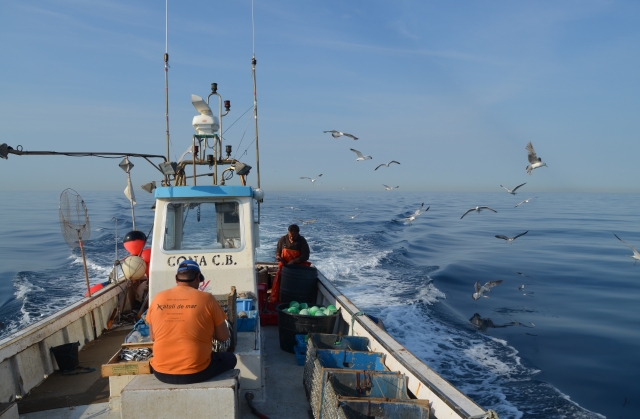 offshore fishing 