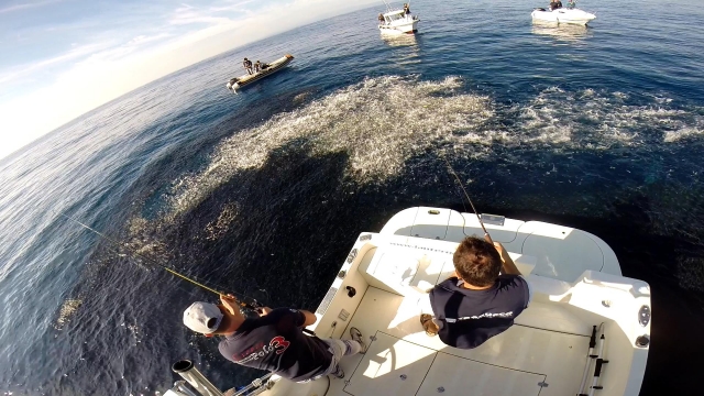  Pesca en 360 grados 
