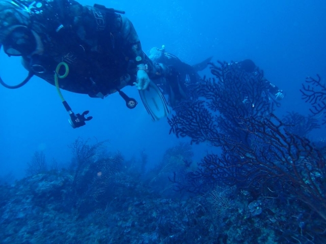  En el mar azul 