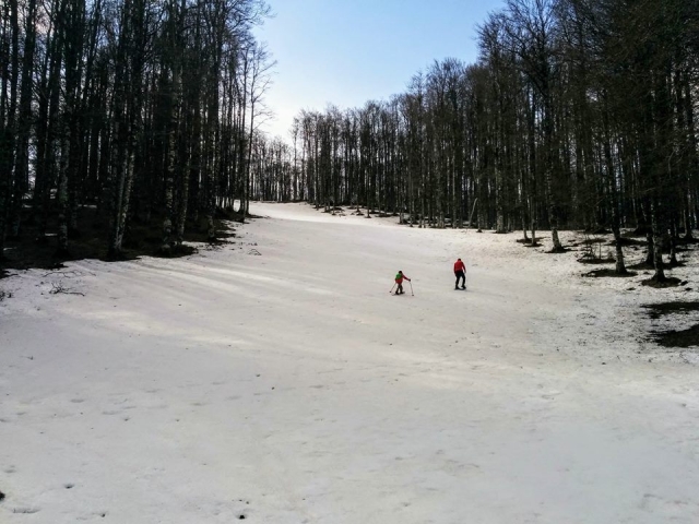  Uma raquete de neve conosco para relaxar a alma e o corpo