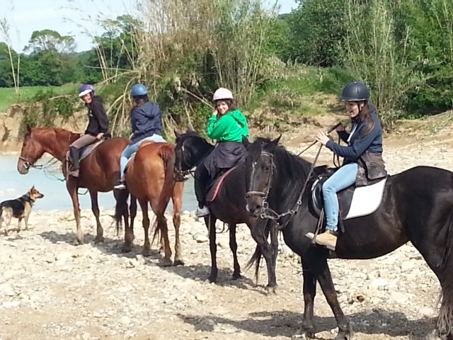  Trekking zu Pferd