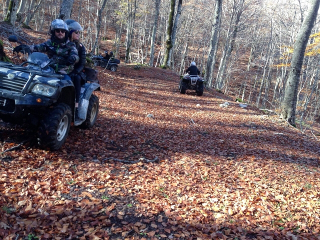 Quad excursion in the woods 