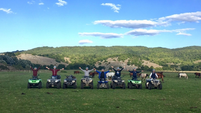  Fun on four wheels 