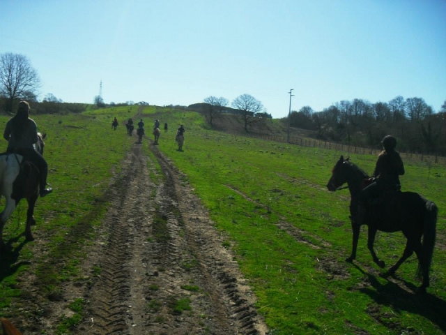  Among green expanses 
