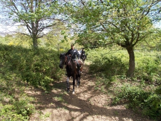 Reiten in Bassano Romano (3h)