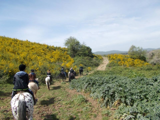  Walks in the countryside