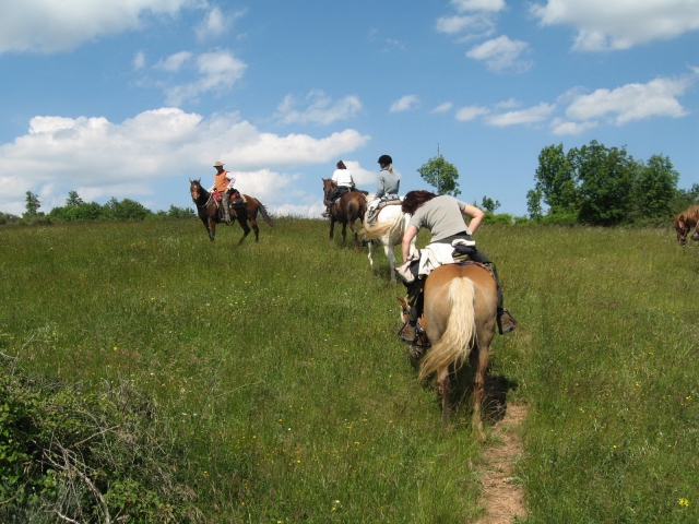 bellissime passeggiate a cavallo