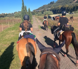 Paseos a caballo 2h Lago Massaciuccoli
